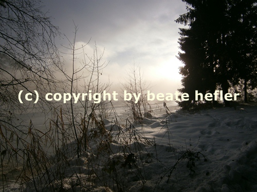 Copyright © 2012 Beate Hefler. Alle Rechte vorbehalten. Bildtitel Gedankenfreiheit